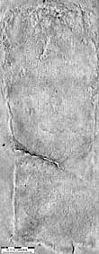 Thumbnail Images